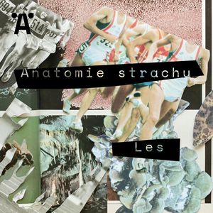 Anatomie strachu E01, Brit Jensen, Jiří Slavičínský