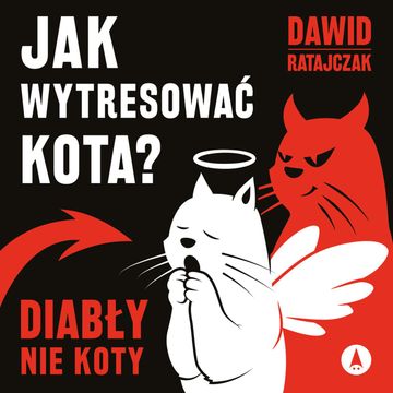 Jak wytresować kota? Diabły, nie koty audiobook, Dawid Ratajczak