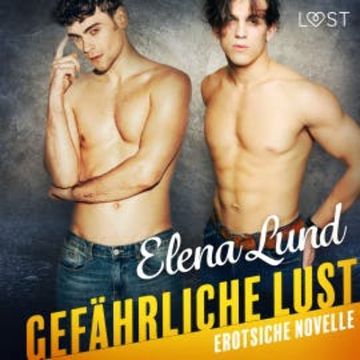 Gefährliche Lust - Erotische Novelle audiobook, Elena Lund