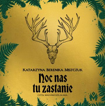 Noc nas tu zastanie audiobook, Katarzyna Berenika Miszczuk