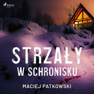 Strzały w schronisku audiobook, Maciej Patkowski