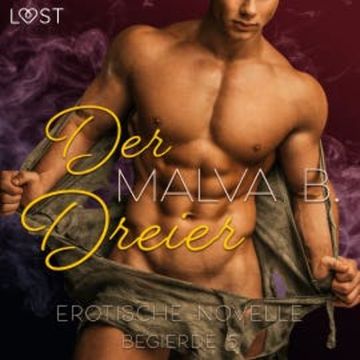 Begierde 5 - Der Dreier: Erotische Novelle audiobook, Malva B.