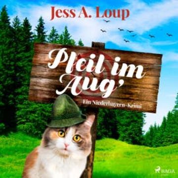 Pfeil im Aug' audiobook, Jess A. Loup