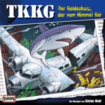 TKKG - Folge 122: Der Goldschatz, der vom Himmel fiel audiobook, Stefan Wolf