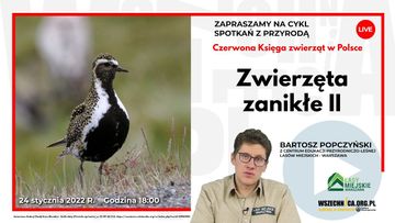 Zwierzęta zanikłe II / Bartosz Popczyński audiobook, Wszechnica FWW