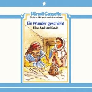 Ein Wunder geschieht - Elisa, Saul und David, Peter van Woerden