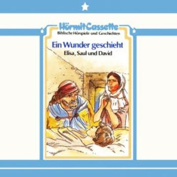Ein Wunder geschieht - Elisa, Saul und David audiobook, Peter van Woerden