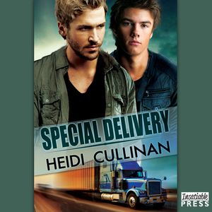 Special Delivery - Special Delivery, Book 1 (Unabridged), Heidi Cullinan