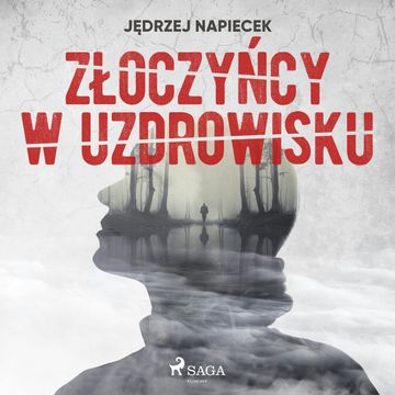 Złoczyńcy w uzdrowisku audiobook, Jędrzej Napiecek