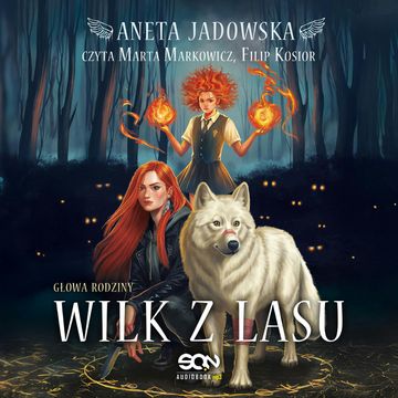 Wilk z lasu. Głowa rodziny. Tom 1 audiobook, Aneta Jadowska
