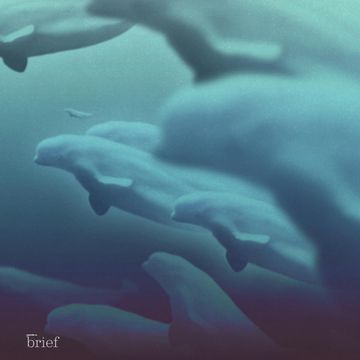 Brief #66 – Kryzys różnorodności biologicznej, sposób na powstrzymanie wirusa HIV i bojowa białucha arktyczna audiobook, Outride.rs