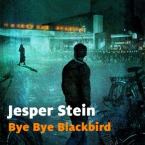 Bye bye blackbird, Stein Jesper