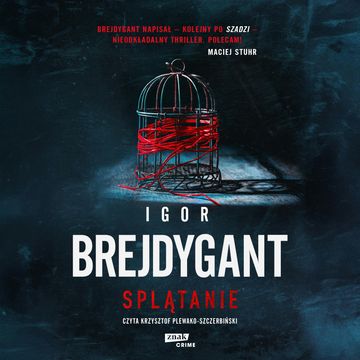 Splątanie audiobook, Igor Brejdygant