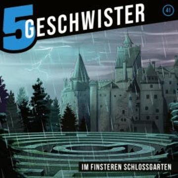 41: Im finsteren Schlossgarten audiobook, Tobias Schier