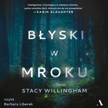 Błyski w mroku audiobook, Stacy Willingham