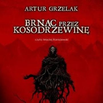 Brnąc przez kosodrzewinę audiobook, Artur Grzelak
