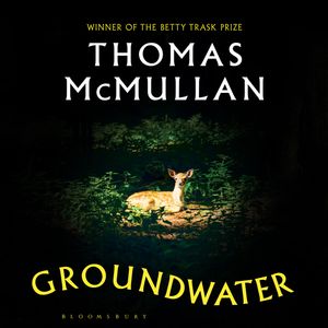 Groundwater, Thomas McMullan
