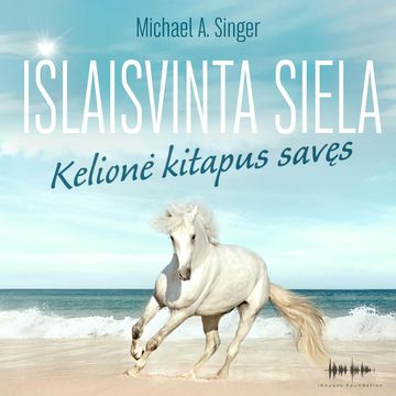 IŠLAISVINTA SIELA. Kelionė kitapus savęs audiobook, Michael A. Singer