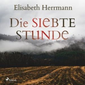 Die siebte Stunde: Joachim Vernau 2 - Kriminalroman, Elisabeth Herrmann