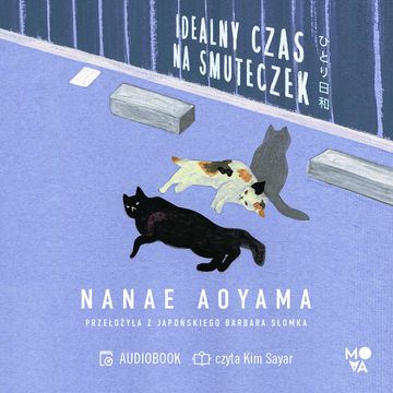 Idealny czas na smuteczek audiobook, Nanae Aoyama