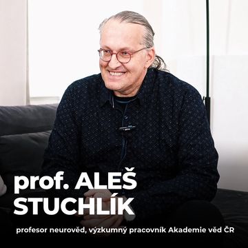 #188: prof. Aleš Stuchlík – Jak sociální sítě mění náš mozek? audiobook, Petr Ludwig