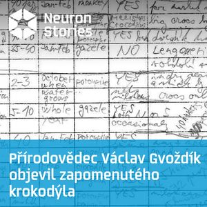 Přírodovědec Václav Gvoždík objevil zapomenutého krokodýla, Neuron Stories