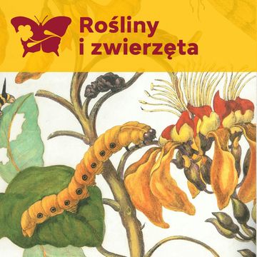 Przyrodnicza influencerka z XVIII wieku – Maria Sibylla Merian audiobook, Międzynarodowe Centrum Kultury