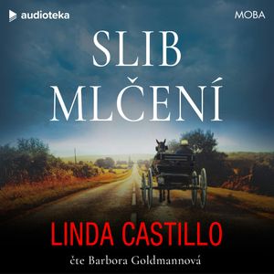 Slib mlčení, Linda Castillo