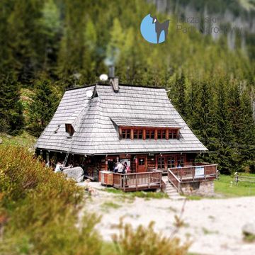 89. Kondratowa - ostatni kurs do schroniska. audiobook, Bartek Solik