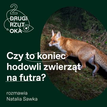 Czy Karol Nawrocki podpisze ustawę zakazującą hodowli zwierząt na futra? audiobook, OKO.press