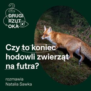 Czy Karol Nawrocki podpisze ustawę zakazującą hodowli zwierząt na futra?, OKO.press
