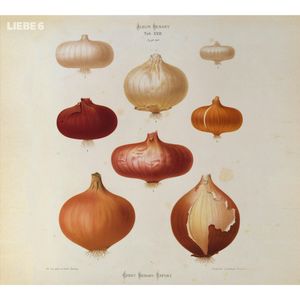 Liebe 6, Hagen Rether