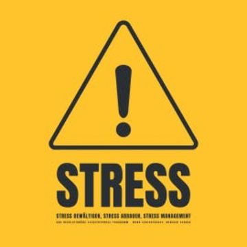 Stress! Stress bewältigen, Stress abbauen, Stress Management audiobook, Patrick Lynen
