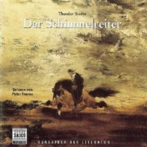 Der Schimmelreiter, Theodor Storm