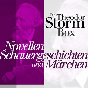 Novellen, Schauergeschichten und Märchen, Theodor Storm