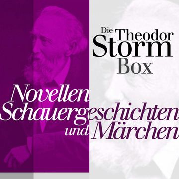 Novellen, Schauergeschichten und Märchen audiobook, Theodor Storm
