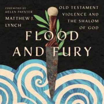 Flood and Fury audiobook, Matthew J. Lynch