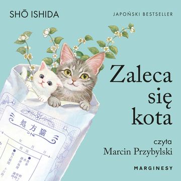 Zaleca się kota audiobook, Shō Ishida