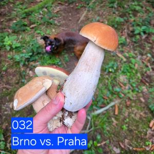 032 Brno vs. Praha, Hana Kuncová, Lukáš Hejlík