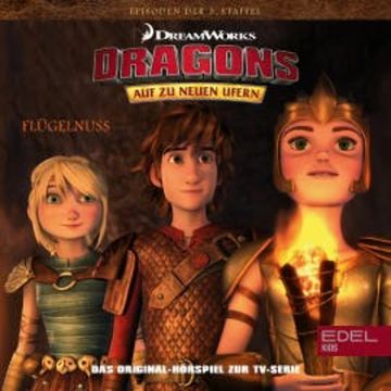 Folge 55: Flügelnuss / Das Buch der Rekorde (Das Original-Hörspiel zur TV-Serie) audiobook, Thomas Karallus