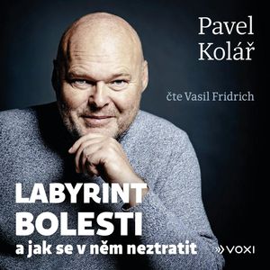 Labyrint bolesti, Pavel Kolář