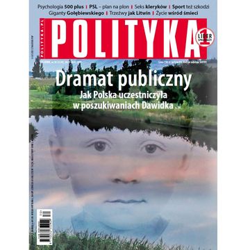 AudioPolityka Nr 30 z 24 lipca 2019, Polityka