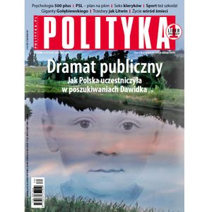 AudioPolityka Nr 30 z 24 lipca 2019, Polityka