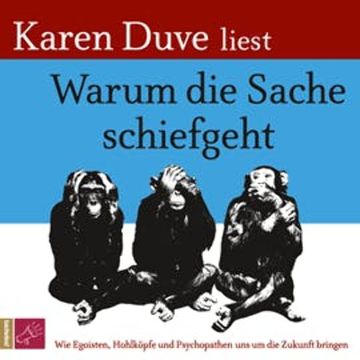 Warum die Sache schiefgeht audiobook, Karen Duve
