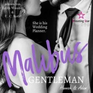 Malibu Gentlemen: Hanna & Adam - Malibu Summer Feelings, Band 1 (ungekürzt), Emily Key