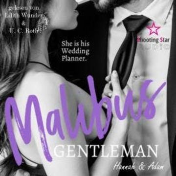 Malibu Gentlemen: Hanna & Adam - Malibu Summer Feelings, Band 1 (ungekürzt) audiobook, Emily Key