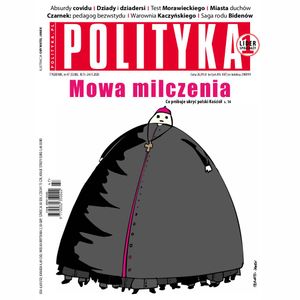 AudioPolityka Nr 47 z 18 listopada 2020 roku, Polityka