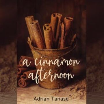 A Cinnamon Afternoon audiobook, Adrian Tanase