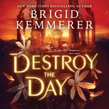 Destroy the Day audiobook, Brigid Kemmerer