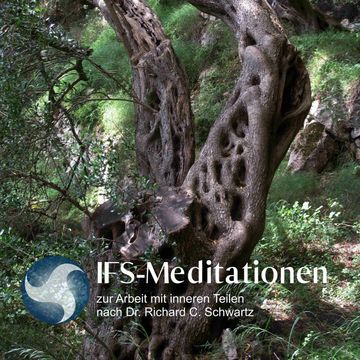 IFS-Meditationen zur Arbeit mit inneren Teilen nach Dr. Richard C. Schwartz audiobook, Richard C. Schwartz